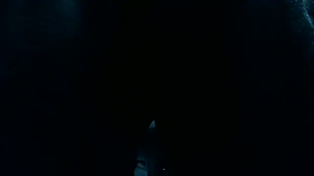 mastersmits – Naživo XXX chat