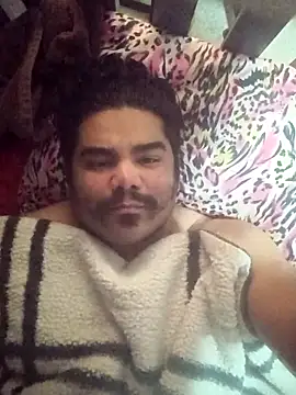 Brickstash: вебкам-шоу