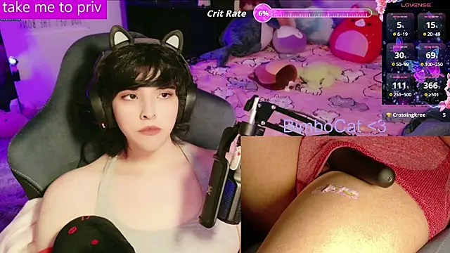 BimboCat webkamerás műsora