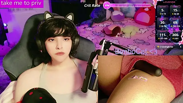 Show Webcam de BimboCat