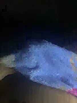 gaabpxn Obrolan Langsung XXX