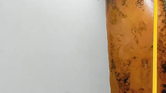 Jhostonex 웹캠 쇼