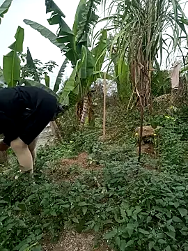 congchua977 网络视讯表演