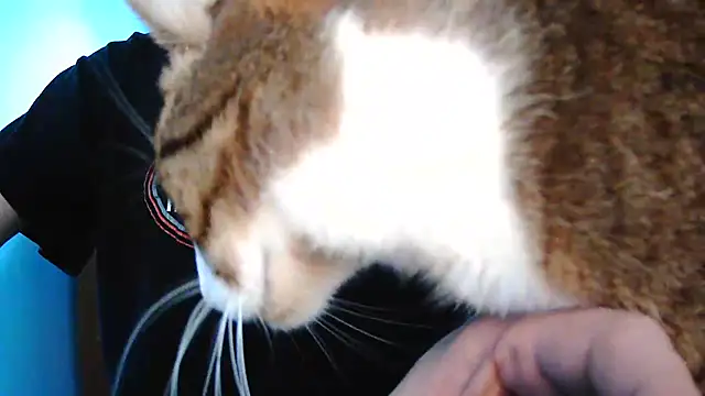 Онлайн чат XXX Niko_slave