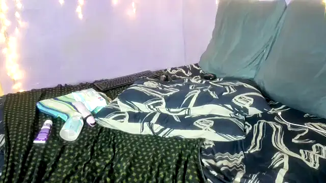 wilmaassylum webkamerás műsora