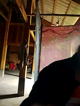 Xiuxiu-cute Chat XXX in diretta