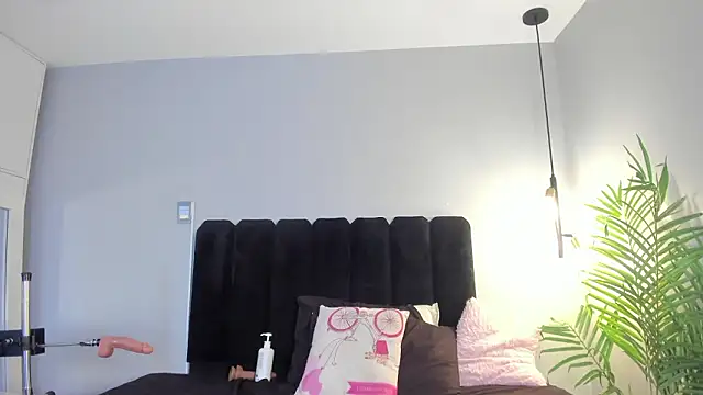 Amaranoir- élő XXX-chatje