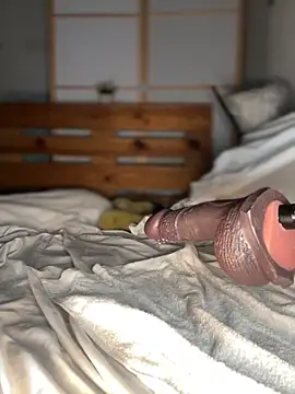 ROUSSH Show in webcam