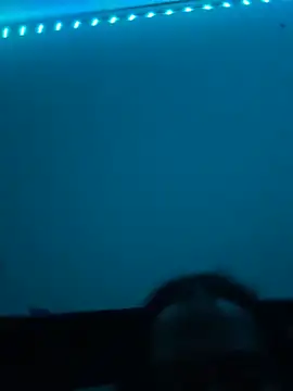 James816 élő XXX-chatje