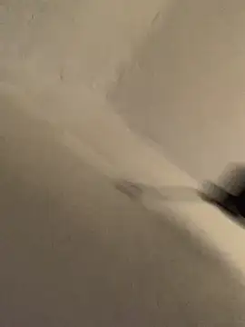 Show Webcam de firefoxfeel