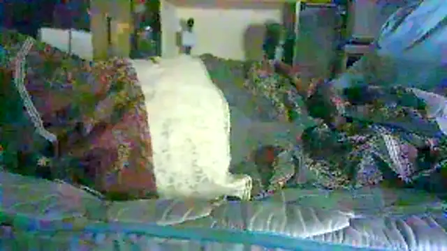 ON3YOULLN3VER_FIR3 现场XXX聊天