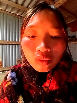 sowbibi Live XXX Chat