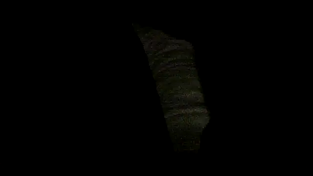 Toofat4you Adlı Modelin Canlı XXX Sohbeti