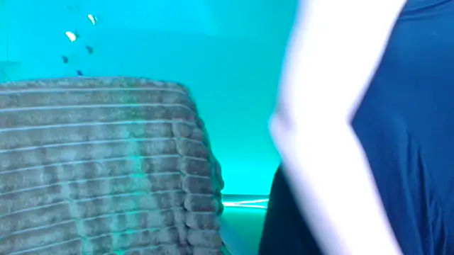 Amanda_SwannnのライブXXXチャット