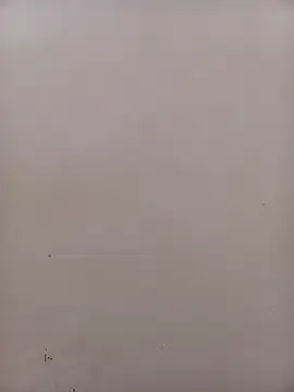 PatriciaVen Webcamshow