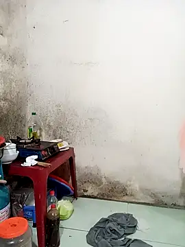 _phuonglan_ 网络视讯表演