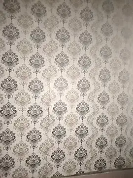 Вебкам-шоу Punjabi_playboy