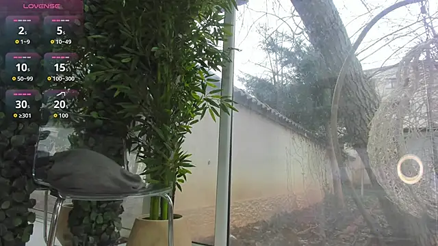 Lexi_Storm 现场XXX聊天