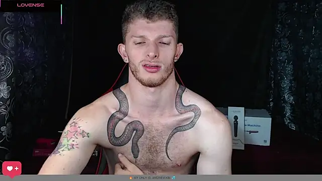 Show webcam de andrewxbi