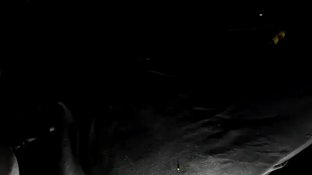 T0YforeskinのライブXXXチャット