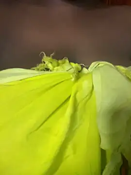 Miss_aerola 现场XXX聊天