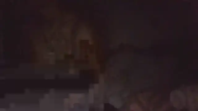 paradisejas 라이브 XXX 채팅