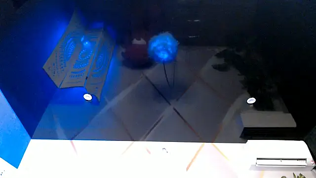 Chat XXX ao vivo de OksanaOcean