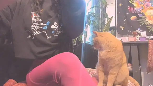 incognimeow Adlı Modelin Canlı XXX Sohbeti