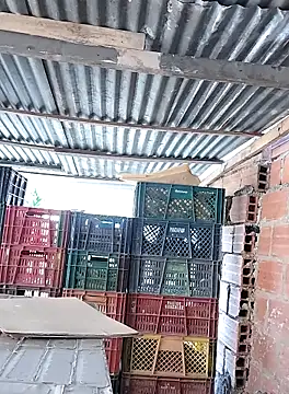 Show Webcam de hoteder