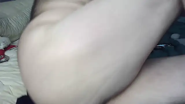 Show webcam de k-dong