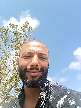 Camodick 网络视讯表演