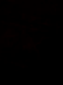 عرض كام 1Aya1Mustafa