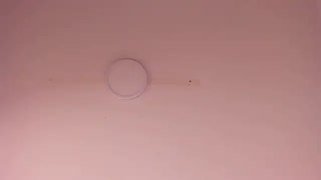 Lizeth_Salazar Live XXX Chat