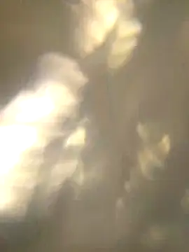 Jagebabe13 – webcam-show