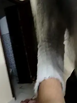 عرض كام Modelbigbobs