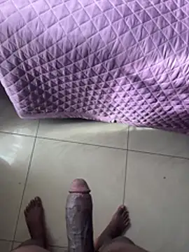 dickhiver5512n Webbikameraesitys