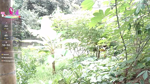 Show webcam de esmeralda_li