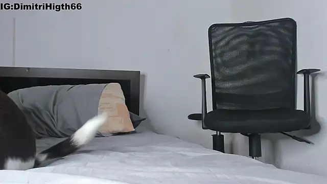 Dimitri_higth420 现场XXX聊天