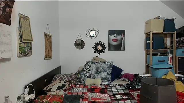 Show webcam de switchlorenx