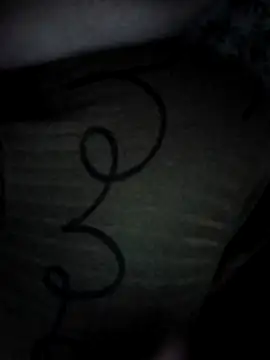 Webkamerová show lamasrica20