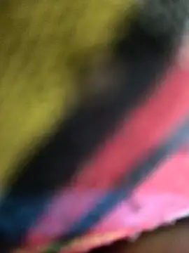 عرض كام Fuck_and_fly