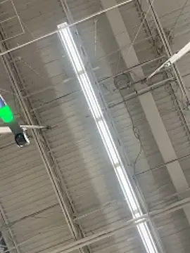 lolabunny9 Live XXX Chat