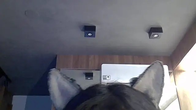 SkinnyKitten élő XXX-chatje