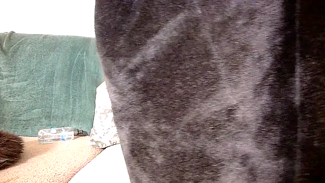 freyadivine live XXX chat