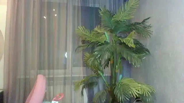 Show webcam de Melrissa