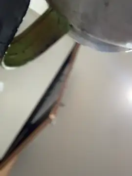 Mila_Morgan Live XXX-Chat