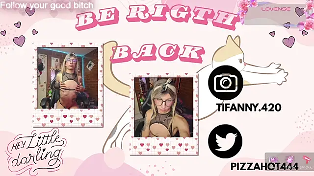 Chat +18 de noah420sr ao vivo