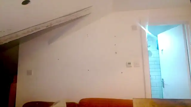 mista_sista_fistan Webbikameraesitys