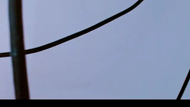 zoe_Nolimits18 élő XXX-chatje