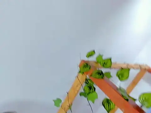 Lux_Royse Live XXX-Chat